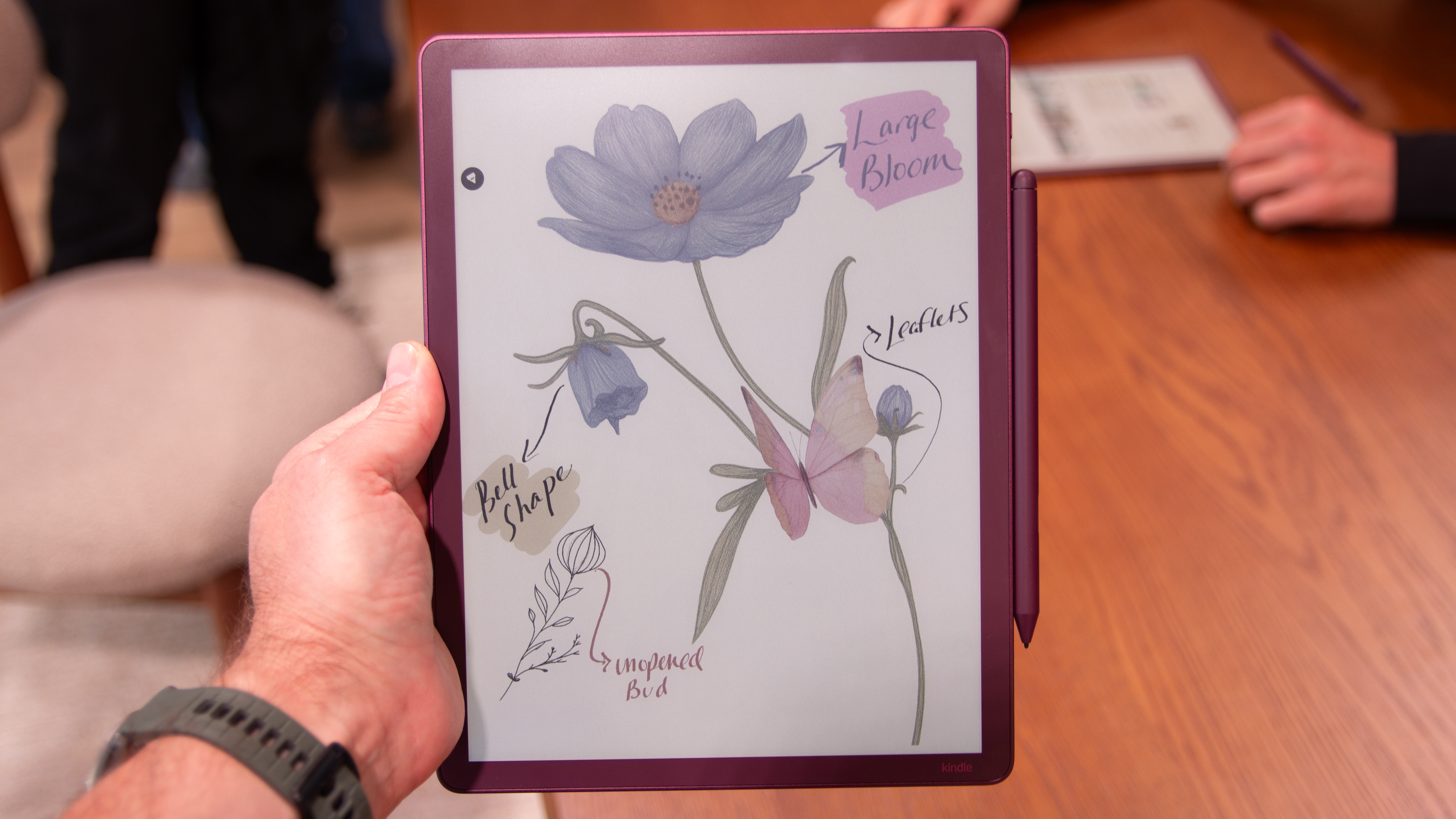 Kindle Scribe Colorsoft