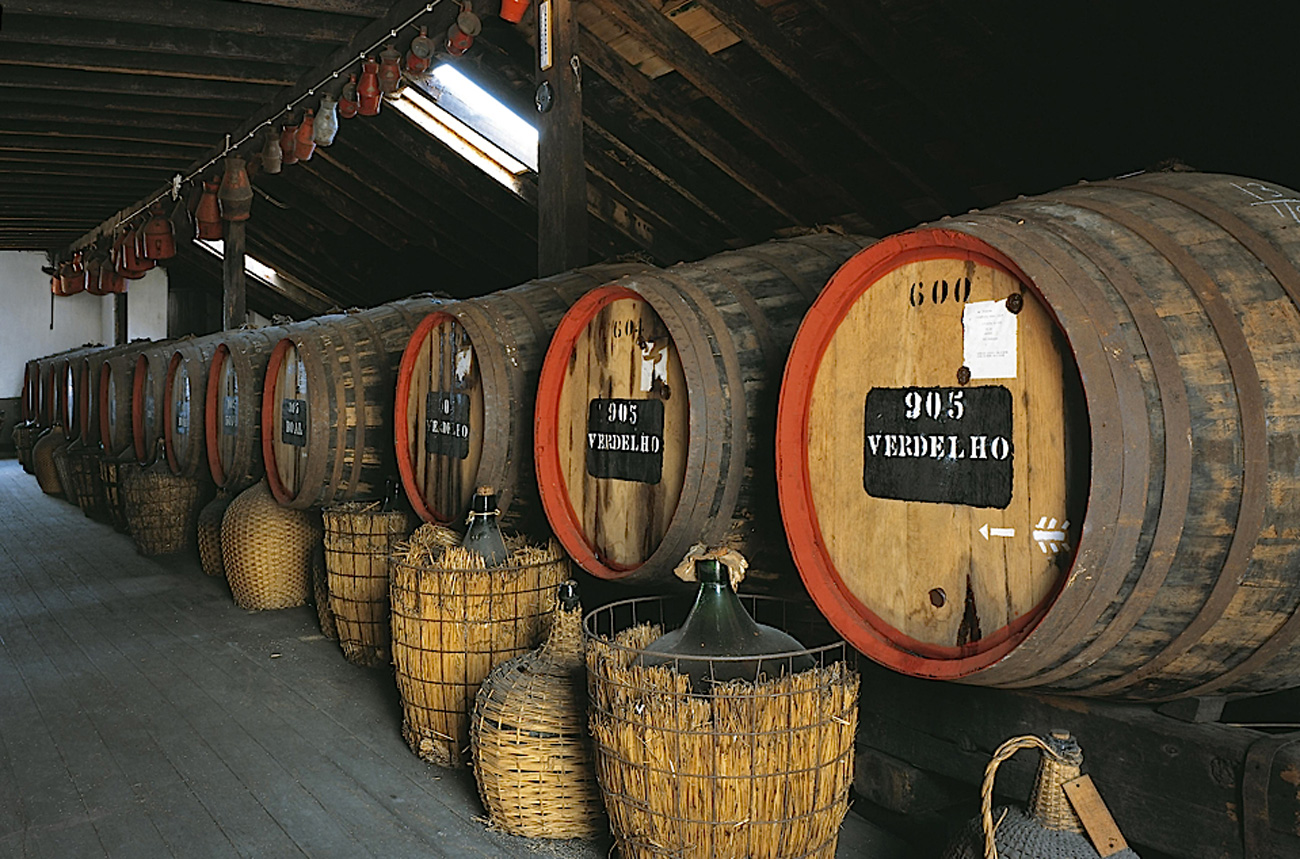 Barrels of wine
