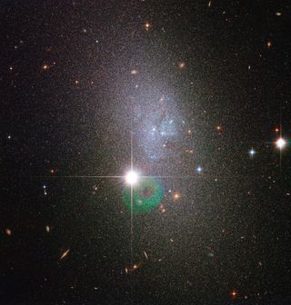 Dwarf Galaxy DDO 82