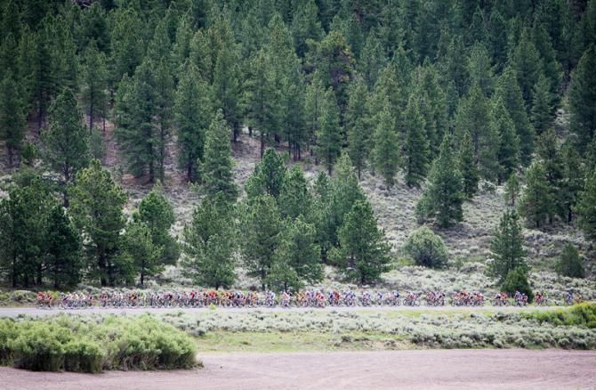The peloton passed through lake and forest lands today.