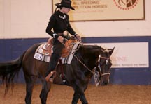reining1.jpg