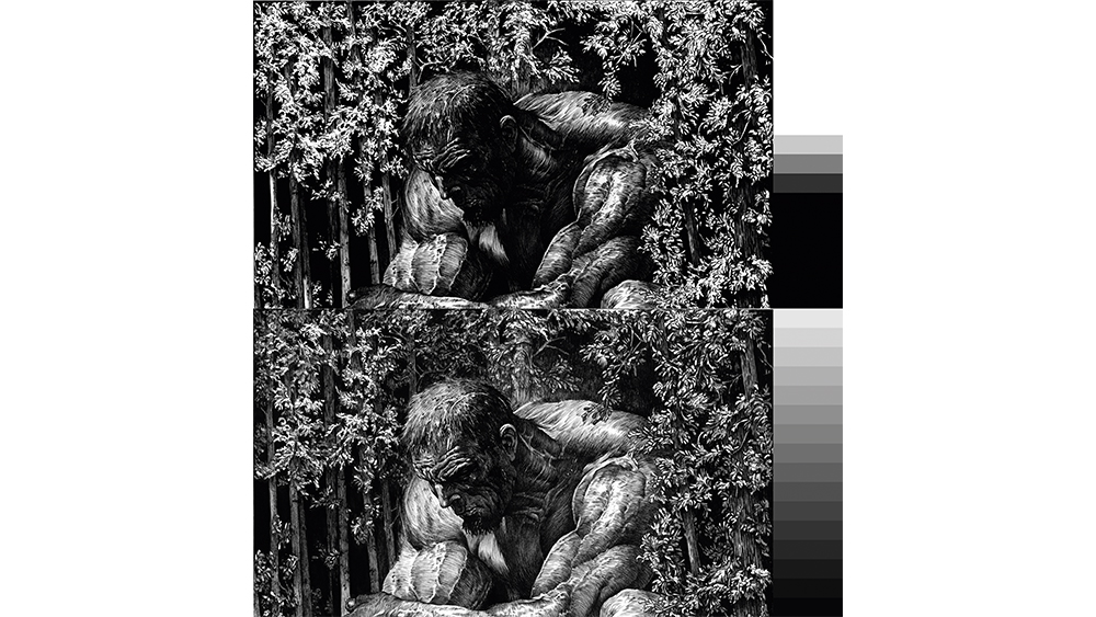 A comparison of ink images against a scale of different values