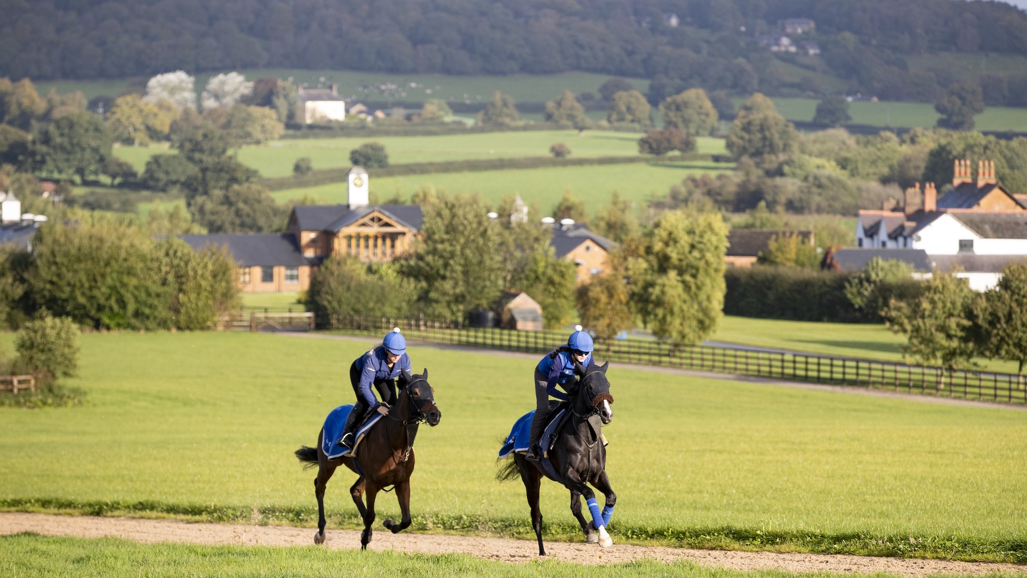 Two horses galloping at Michael Owen's Manor Farm Stables