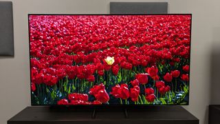 Samsung S85F with red flowers on screen