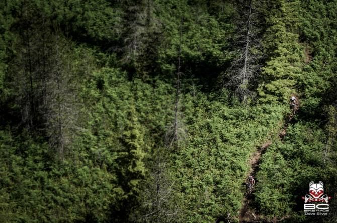 Car wash through the BC bush.