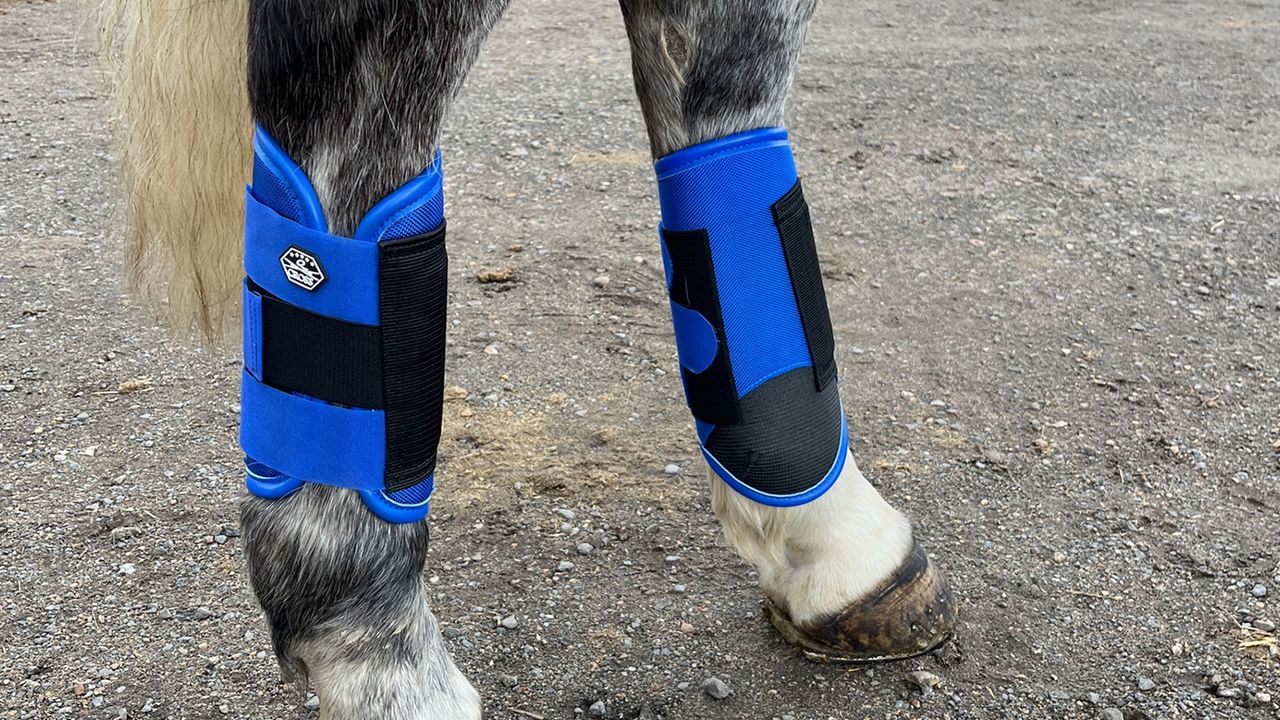 QHP Technical Eventing Boots front