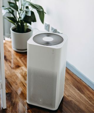 A white air purifier on top of a dark wooden floor, with white walls and a leafy green plant behind it