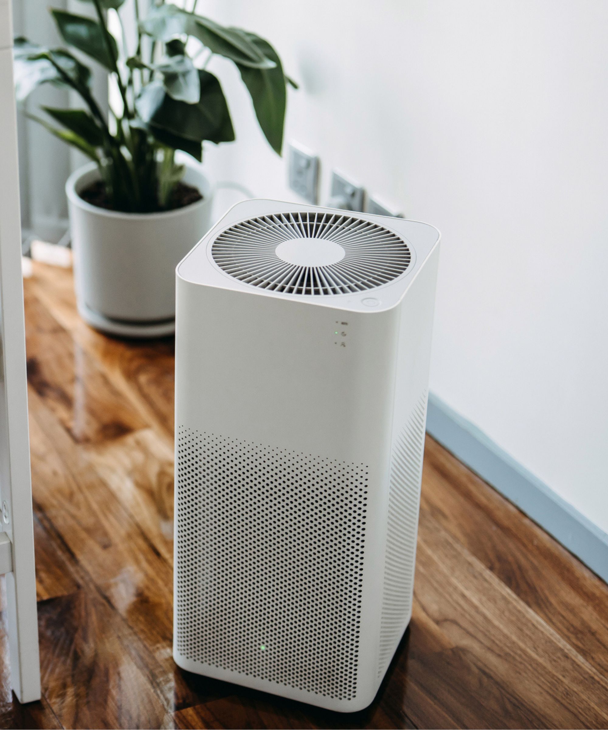 A white air purifier on a dark wooden floor with white walls and a leaf green plant behind it