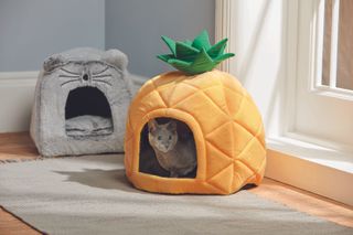 Aldi pineapple cat bed