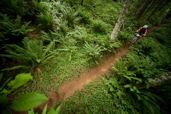 The BC Bike Race features plenty of singletrack