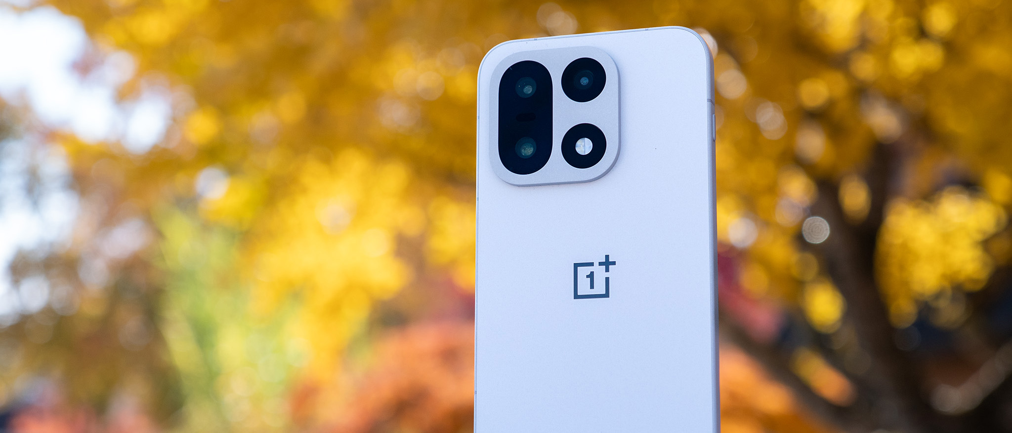 The back of the Sand Storm OnePlus 15 with yellow ginkgo trees in the background