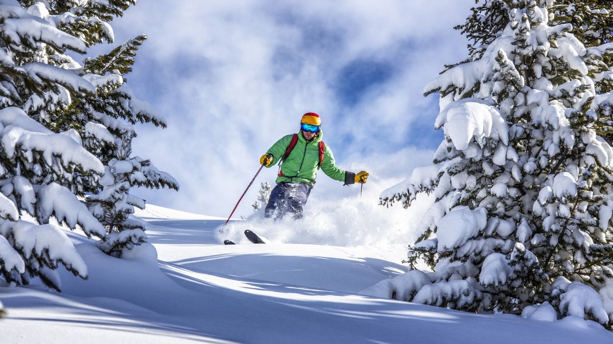 Skier passing between two trees