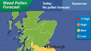 Pollen Forecast UK