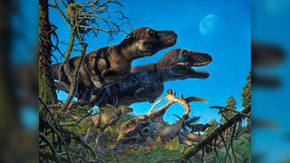 An illustration of the tyrannosaur Nanuqsaurus with its babies, standing near a horned-dinosaur skull.