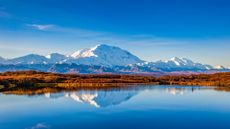 Mt. Denali on a clear day reflected in the Reflection Pond