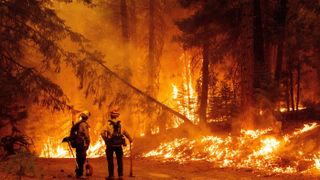 CalFire firefighters monitor a backfire they lit to stop the spread of the Dixie fire in the Prattville community of Plumas County, on July 23, 2021.