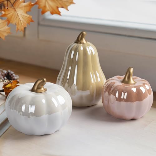Aels Modern Ceramic Pumpkins Fall Decor Indoor, Cozy Farmhouse Tabletop Decorations, Artificial Pumpkins Decor for Fall Table Runner, Office, Holiday Party Home, Set of 3 Neutral Tones