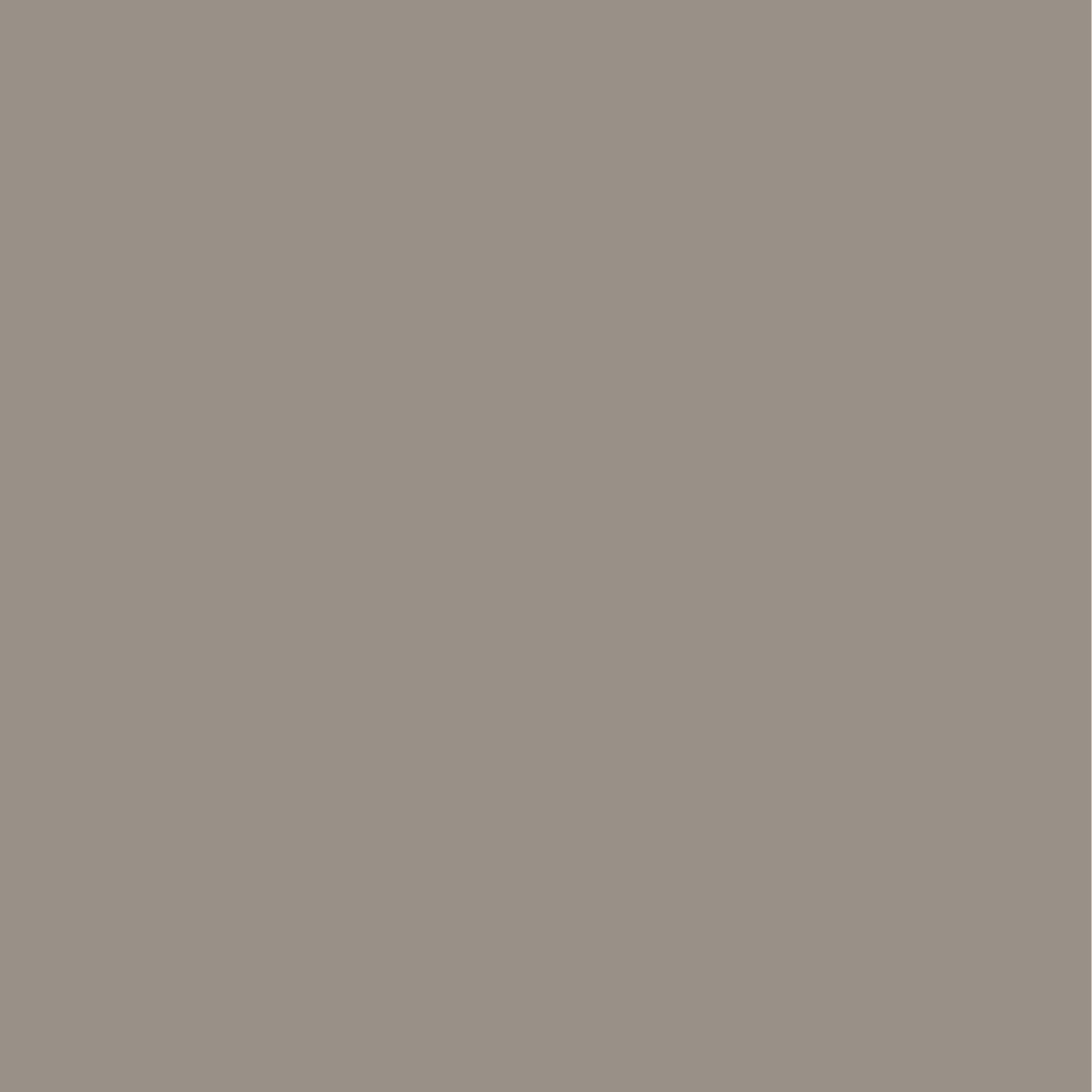 Soft gray paint color