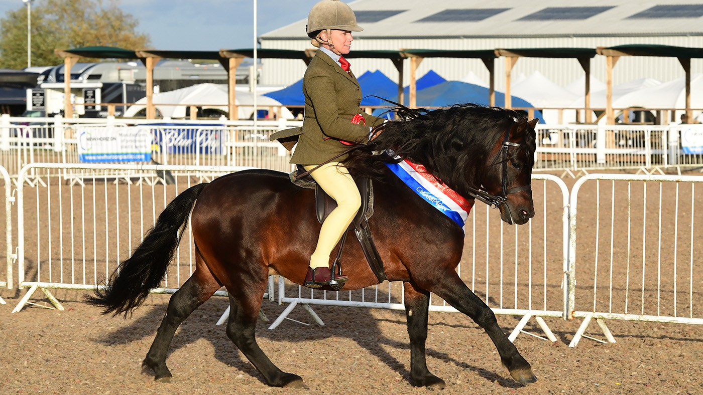 Heritage Show 15.10.2266171