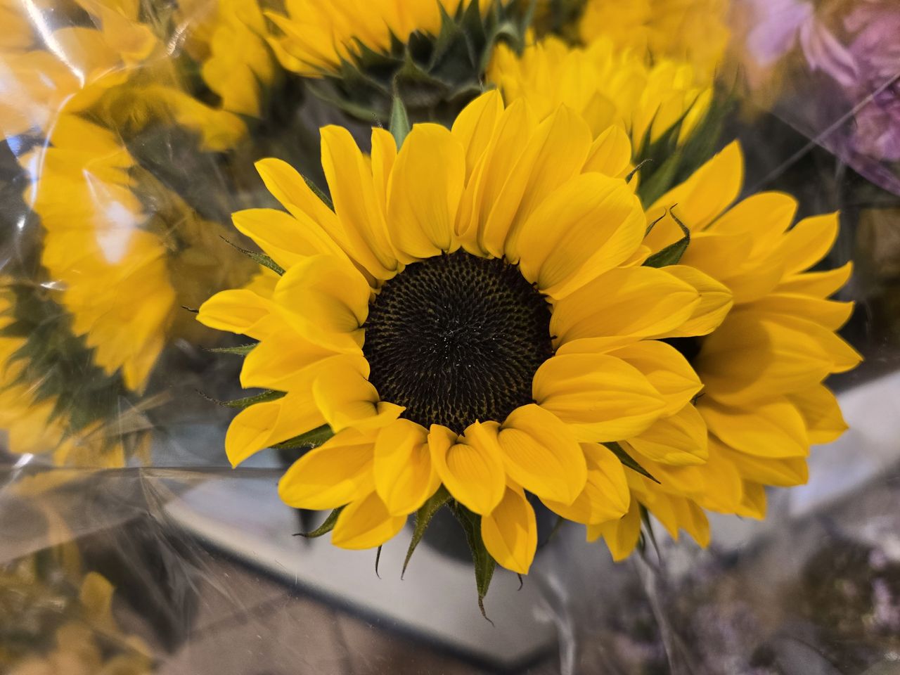 Samsung Galaxy Z Flip 6 macro sample.