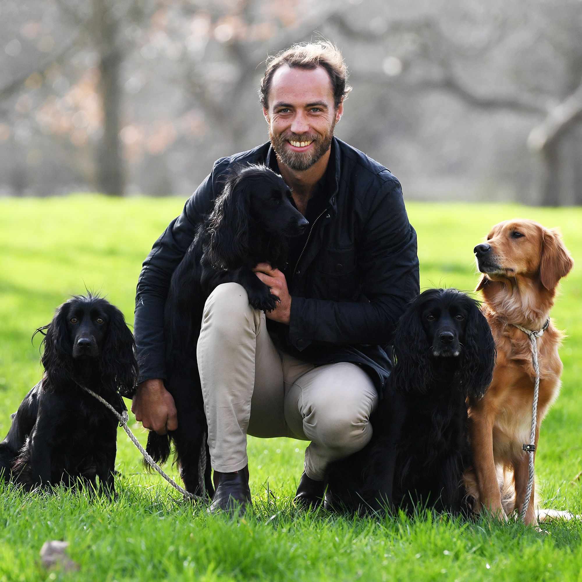 Dog, Mammal, Vertebrate, Canidae, Dog breed, Carnivore, German spaniel, Sporting Group, Companion dog, Field trial, 