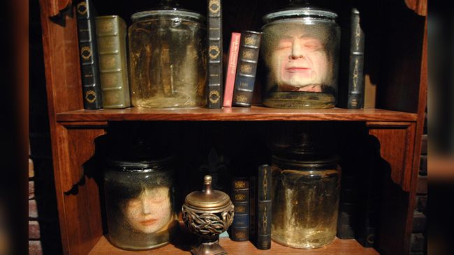 Massive Trove of Artifacts Shipped to Ripley's Believe It or Not ...