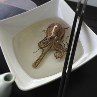 Lye specialises in three dimensional animals painted in layers of resin