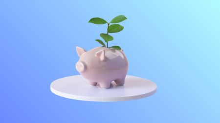 A piggy bank with a plant growing from the coin slot.