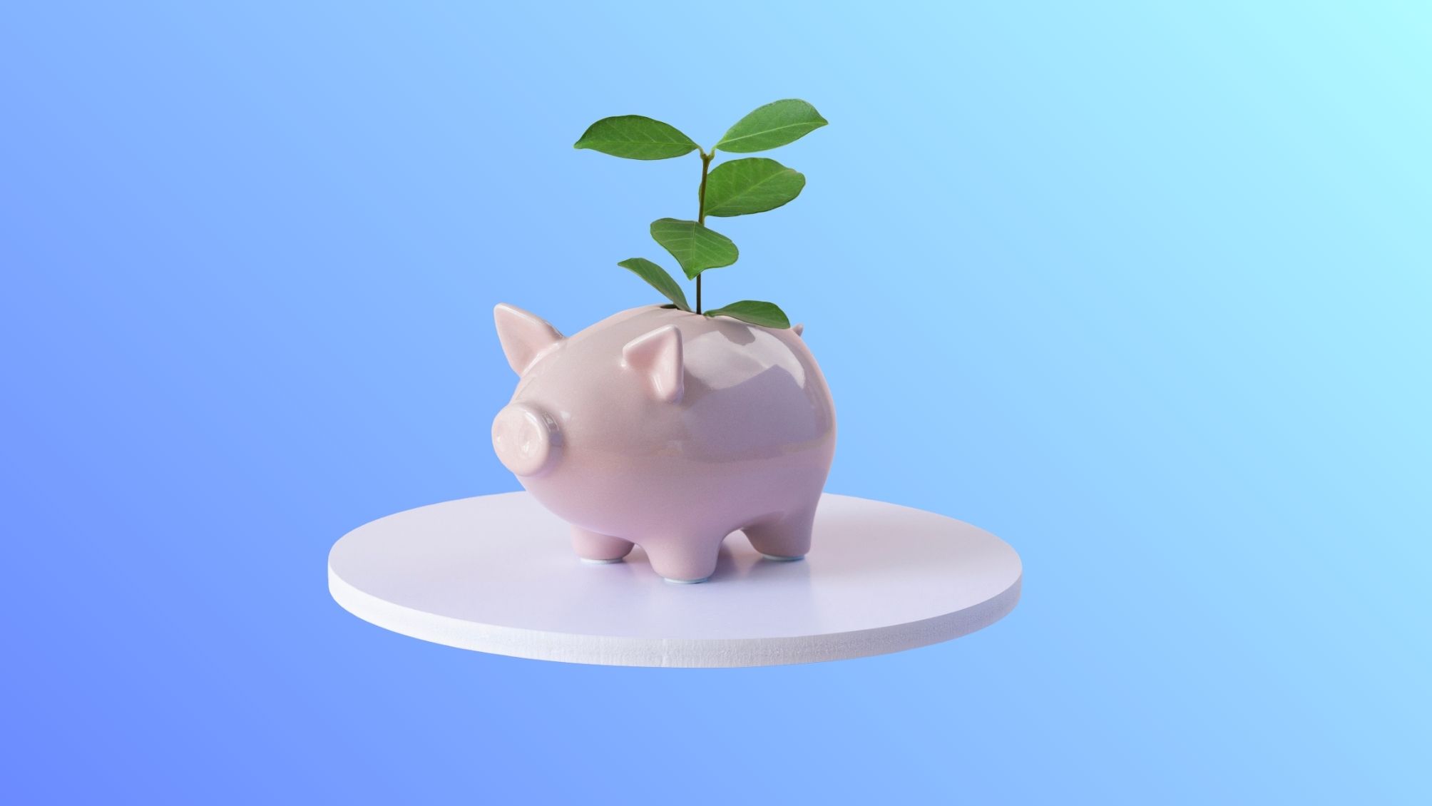 A piggy bank with a plant growing from the coin slot.