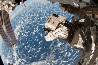FIsh-eye View of Wiseman on Spacewalk