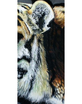 long fur close up of tiger painting
