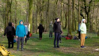 A group forest bathing