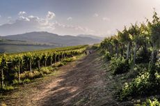 Discover Abruzzo .