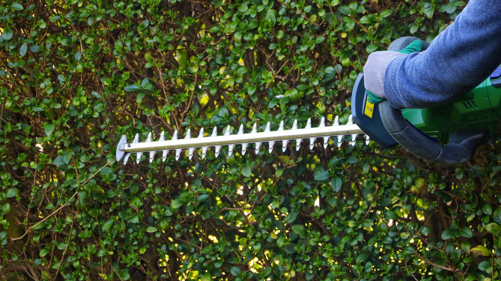 How to sharpen hedge trimmer blades safely and quickly | Homes and Gardens How to sharpen hedge trimmer blades safely and quickly | Homes and Gardens