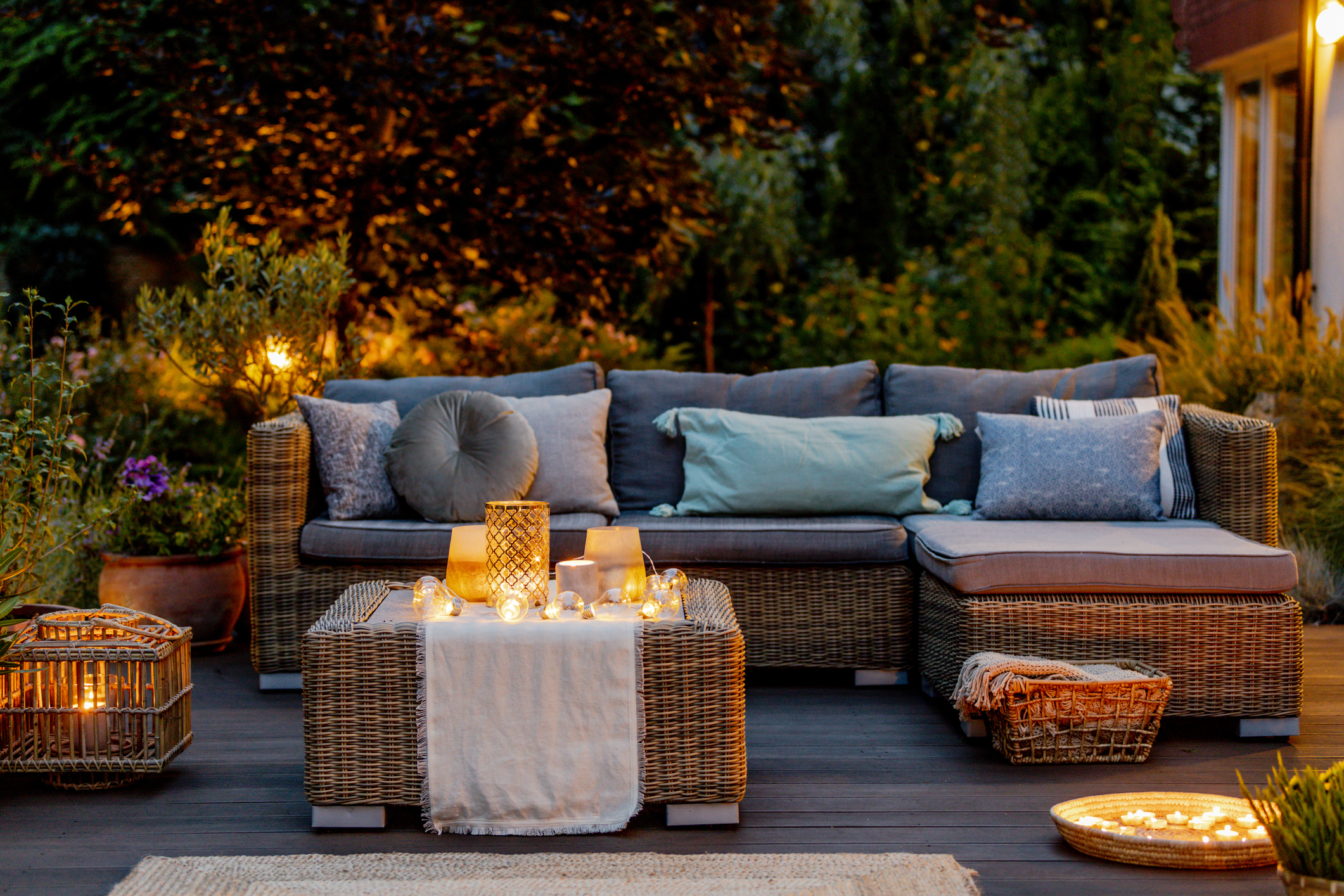 a garden with atmospheric lighting
