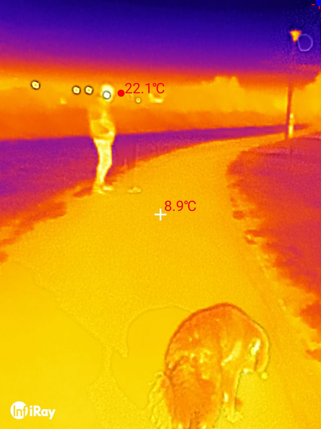 DOOGEE S98 Pro review: Thermal Imaging