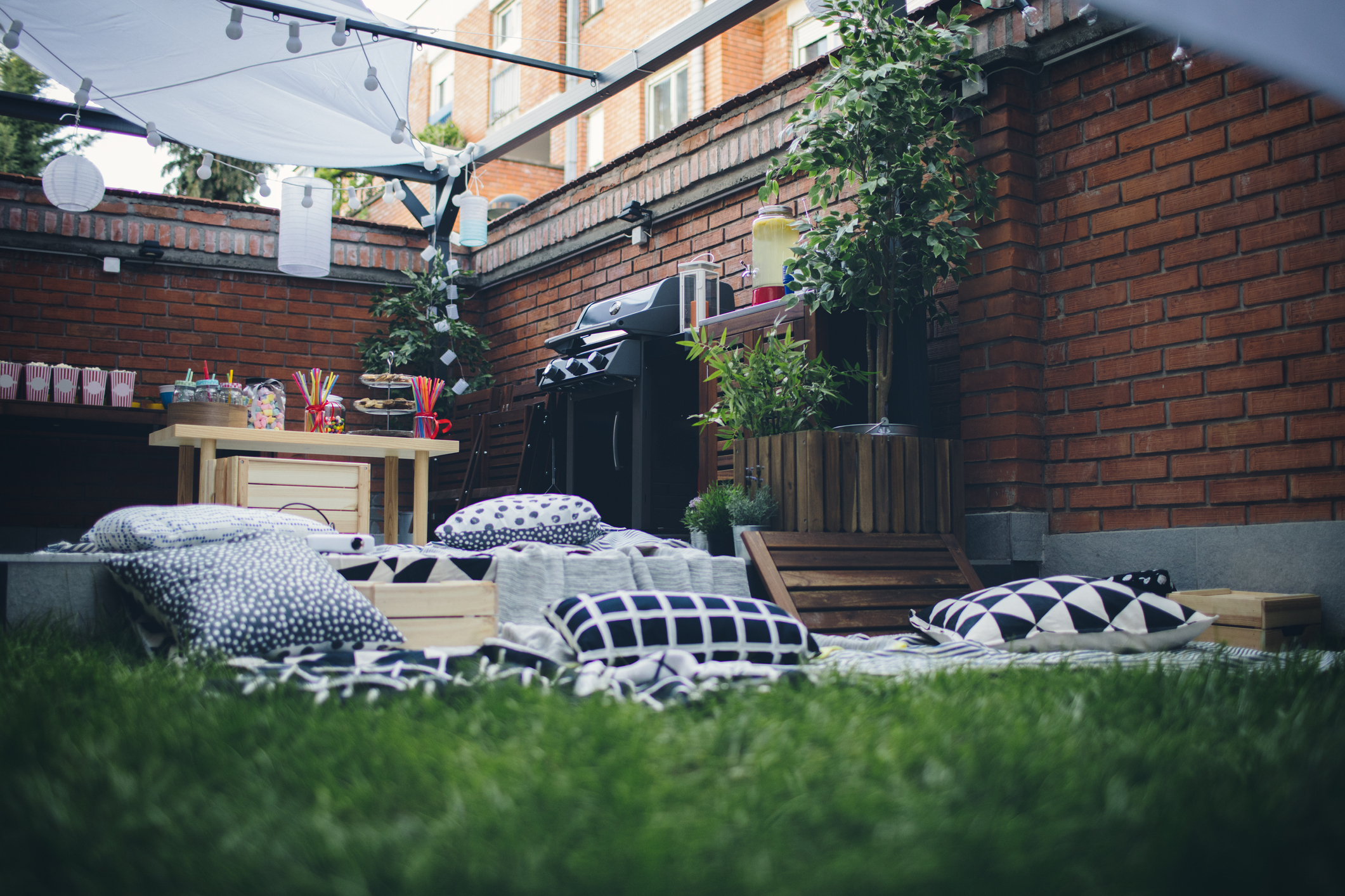 Garden privacy in a courtyard space