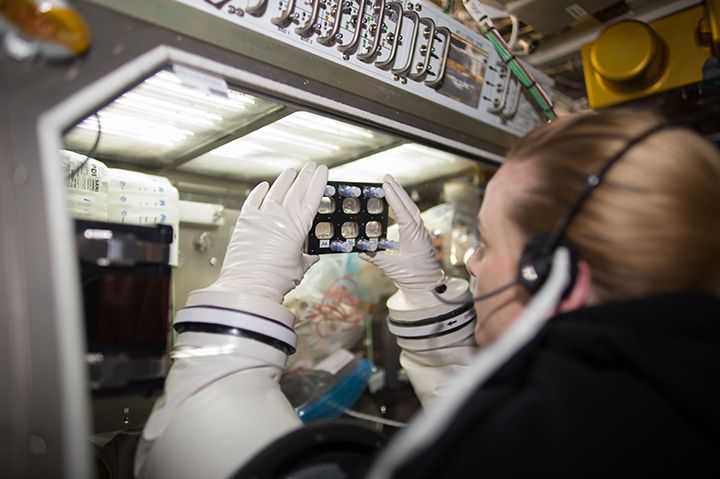 NASA astronaut Kate Rubins studied heart cells on the International Space Station.