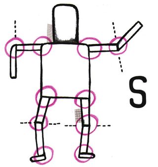 Skinning Motion Glossary