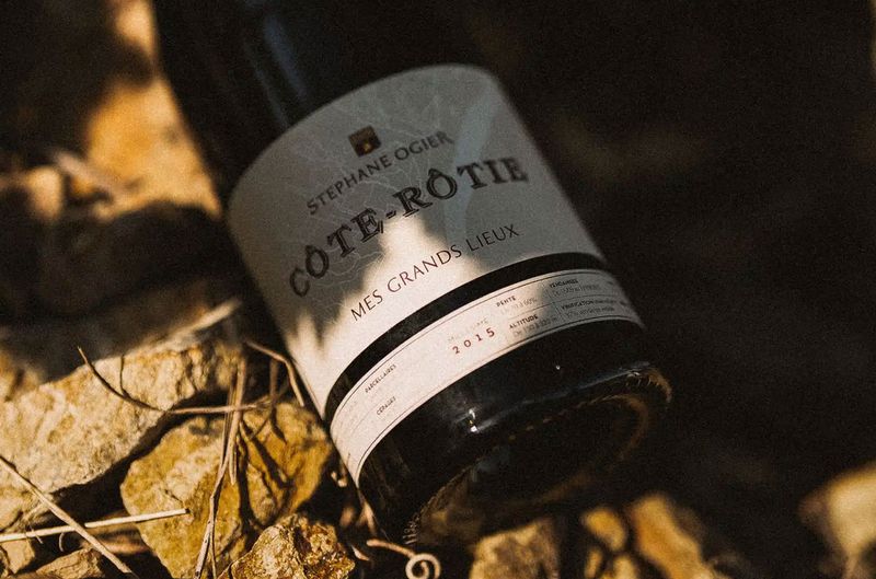 Bordeaux 2025 Reveals New Vintage Challenges in En Primeur Market — image 5
