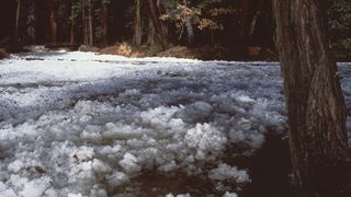 frazil ice in a yosemite creek