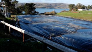 A dairy digester at Straus Dairy Farm in Marshall, California. We see a giant tarp covering a basin.