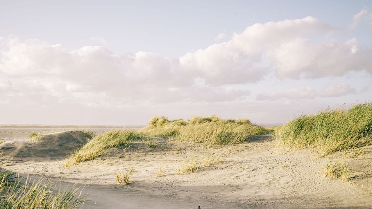 Dunes on the beach.