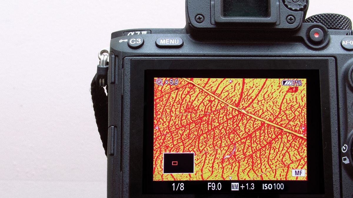 Create botanical photo art with microscopic insights | Digital Camera World