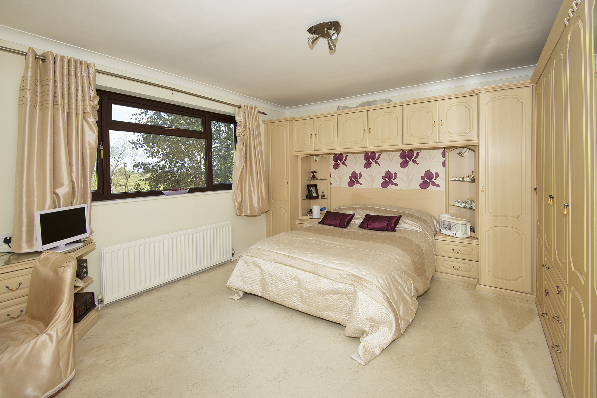 TheHaven41