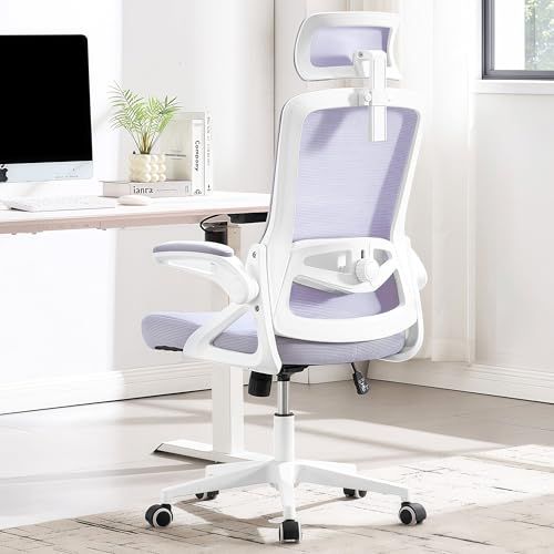 Ergonomic Office Chair