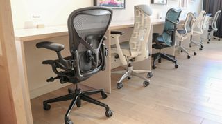 All of Herman Miller&#039;s most popular office chairs in a row in one of its stores