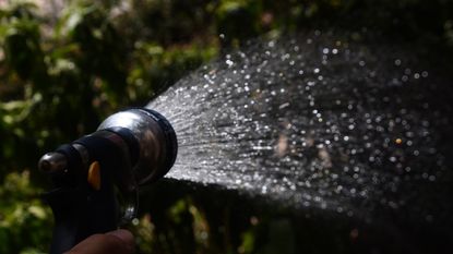 Watering plants at night with a hose