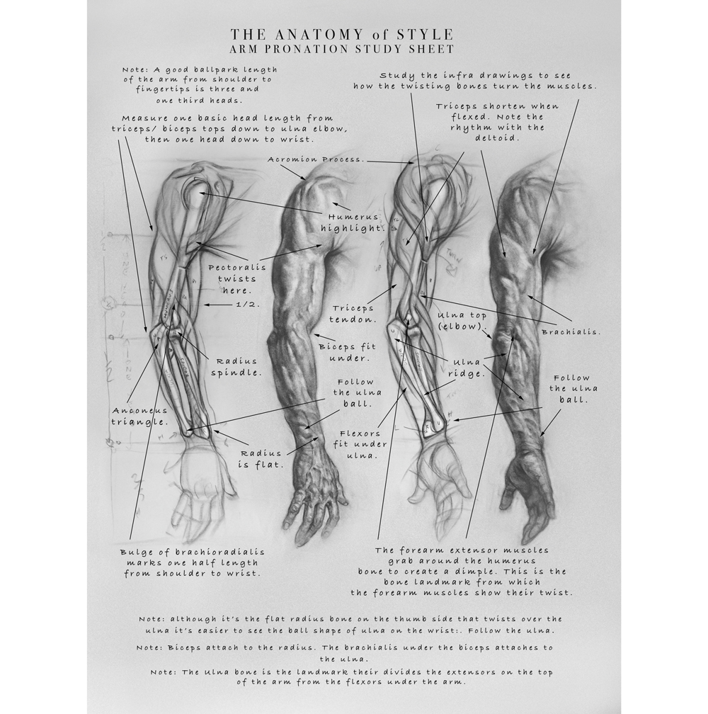 How to draw an arm: study sheet