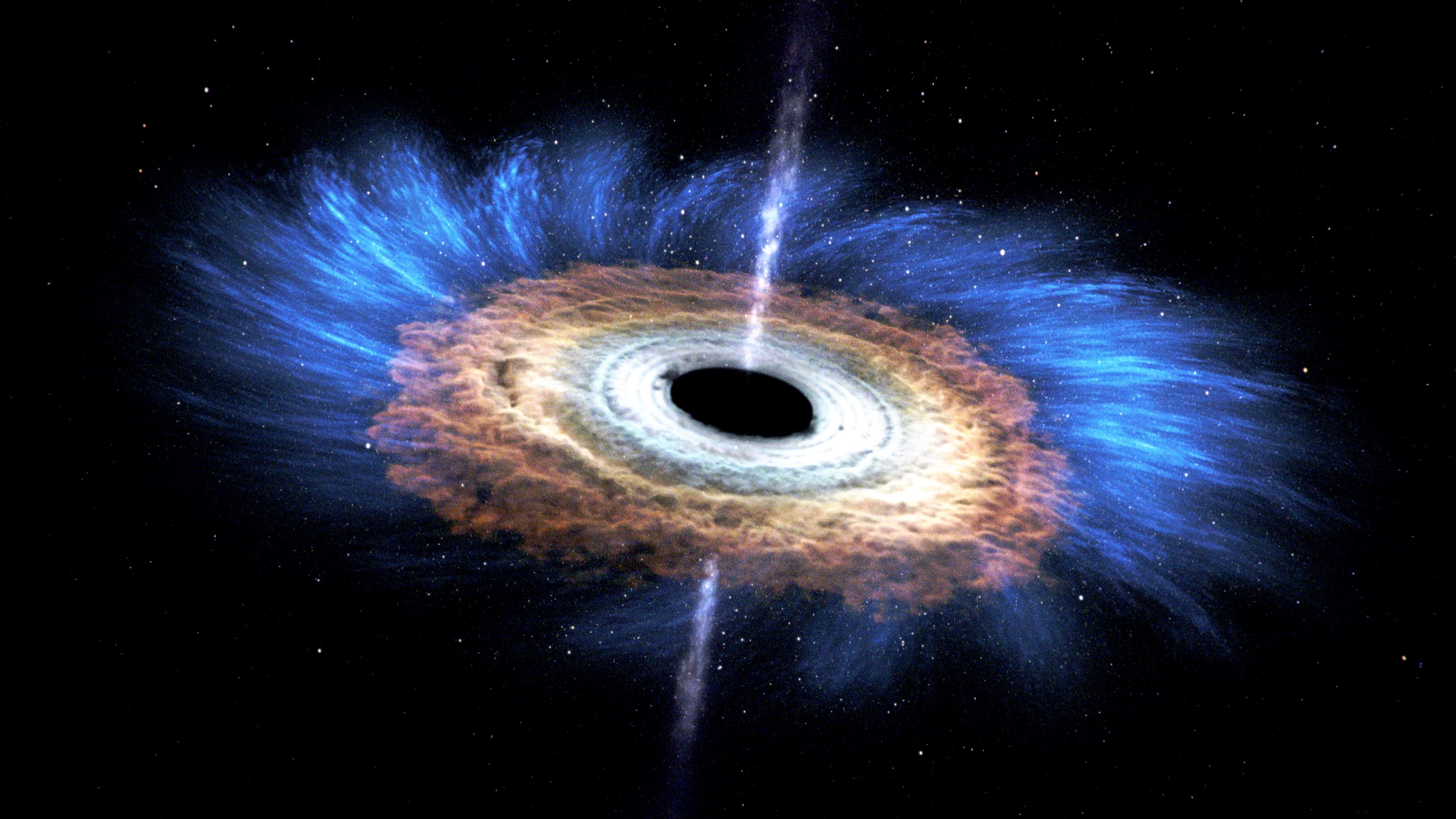 would you die if you went into a black hole